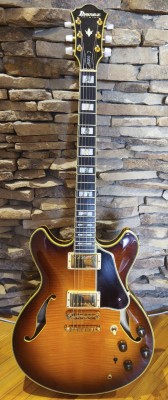 Ibanez AS200.jpg