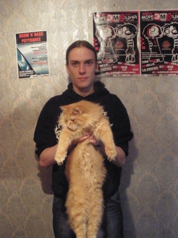 котэ.jpg