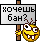 :hochesh_ban: