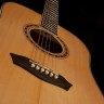 Гитара акустическая Washburn WD10S