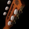 Гитара акустическая Washburn WP5234S