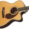 Электроакустическая гитара Fender PM-3 Deluxe Triple Natural