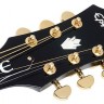 Электроакустическая гитара Epiphone PR-5E Natural Gold